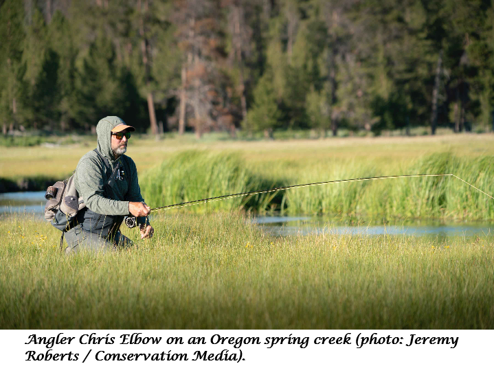Oregon_Creek.png